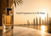 14Street UAE 2026: Your 20 Most Asked Questions Answered
